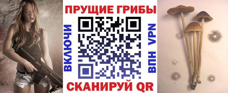где продают наркотики  Нолинск  Галлюциногенные грибы мицелий 