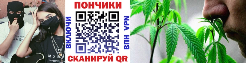 купить закладку shop наркотические препараты Марихуана Bruce Banner Нолинск кракен как войти